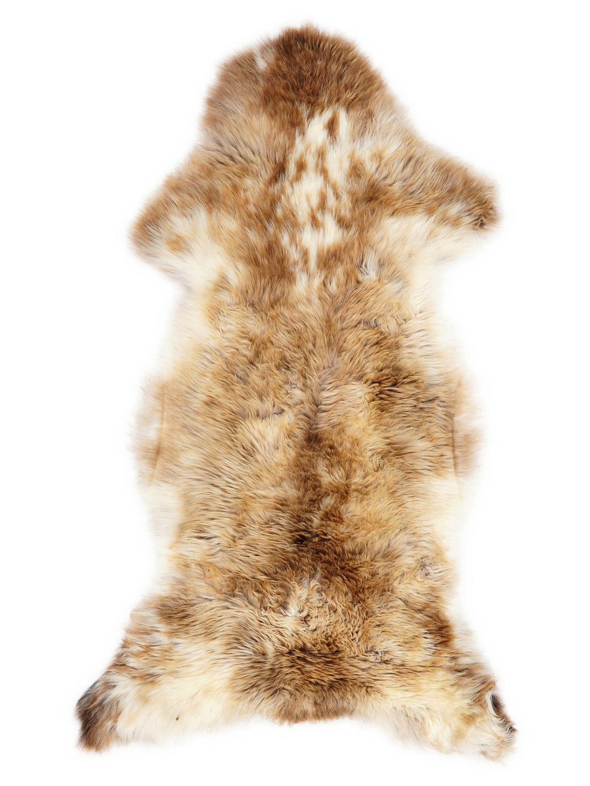 Peau de mouton multicolore britannique d’environ 120 × 55 cm, vue de dessus : exactement la peau que vous recevez