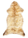 Peau de mouton multicolore britannique d’environ 120 × 55 cm, vue de dessus : exactement la peau que vous recevez