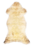 Peau de mouton multicolore britannique d’environ 110 × 50 cm, vue de dessus : exactement la peau que vous recevez