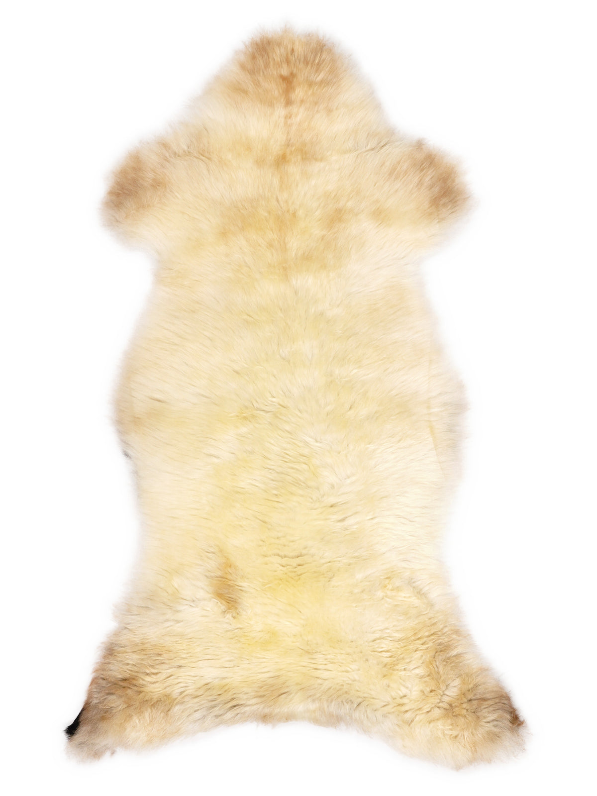 Peau de mouton multicolore britannique d’environ 110 × 50 cm, vue de dessus : exactement la peau que vous recevez