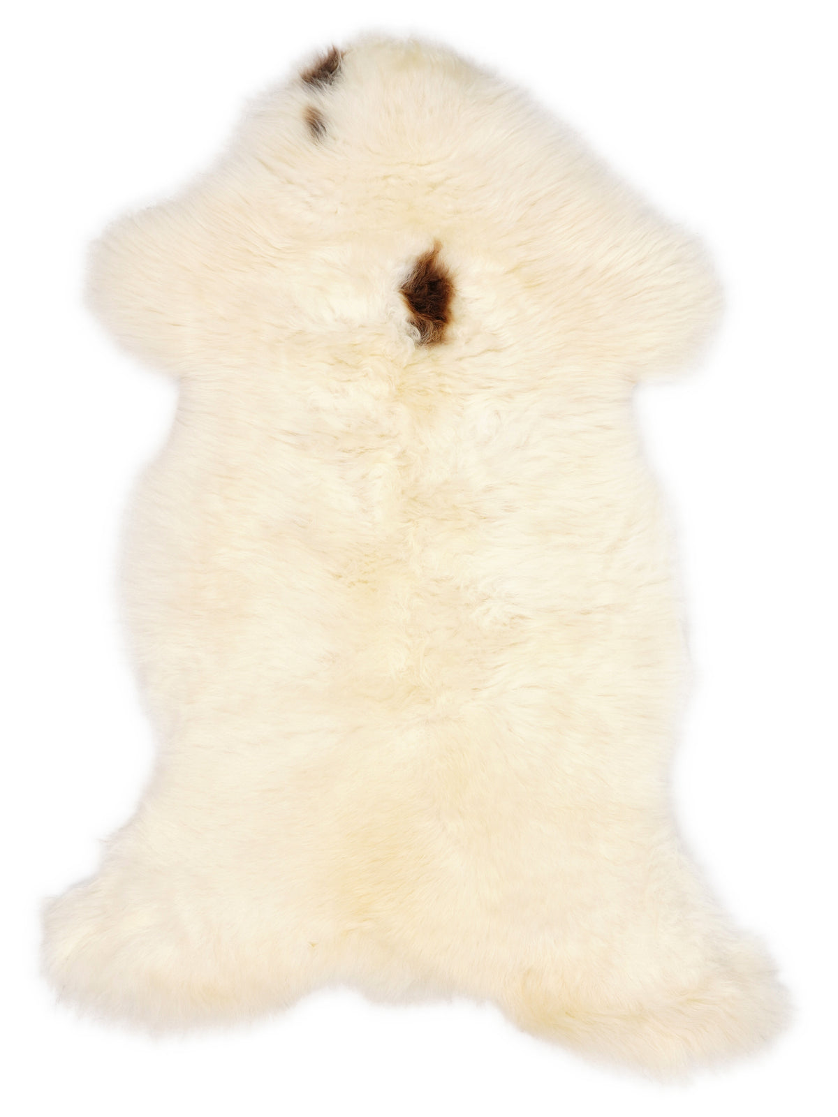 Peau de mouton multicolore britannique d’environ 120 × 60 cm, vue de dessus : exactement la peau que vous recevez