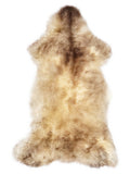 Peau de mouton multicolore britannique d’environ 110 × 55 cm, vue de dessus : exactement la peau que vous recevez