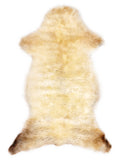 Peau de mouton multicolore britannique d’environ 110 × 55 cm, vue de dessus : exactement la peau que vous recevez