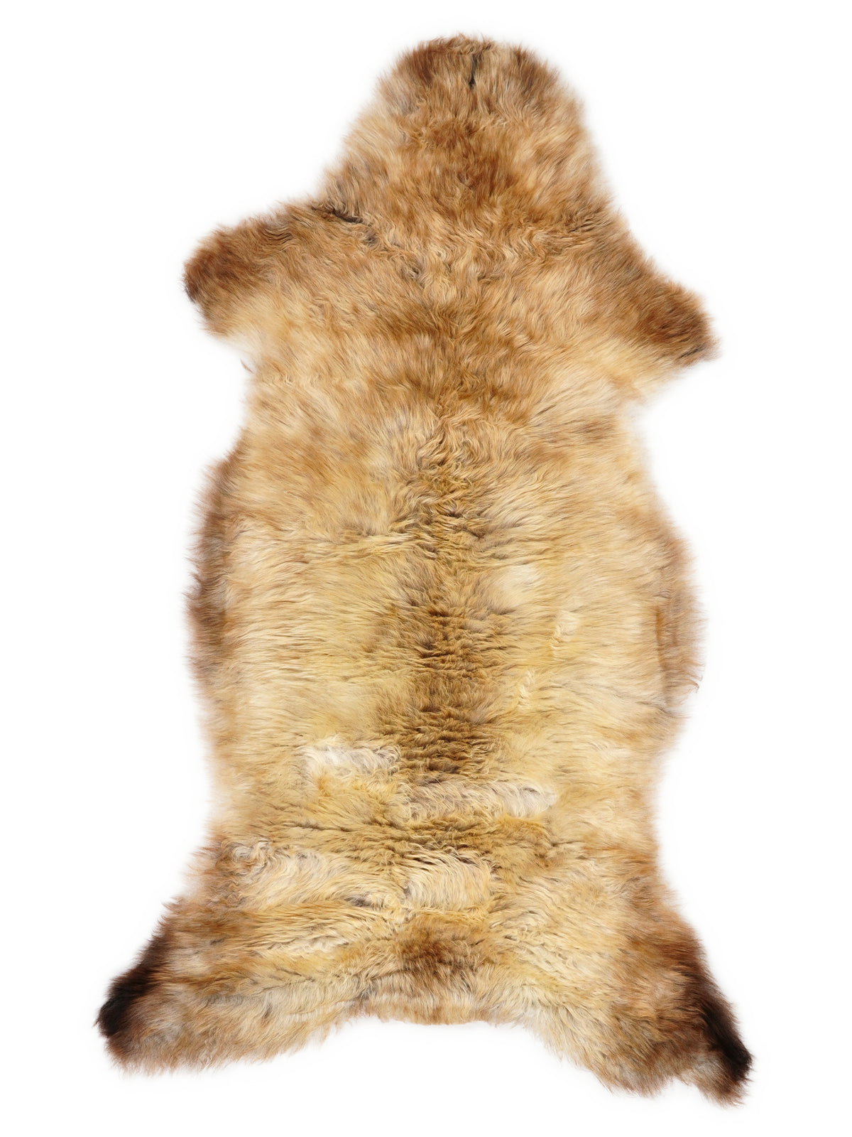 Peau de mouton multicolore britannique d’environ 115 × 55 cm, vue de dessus : exactement la peau que vous recevez