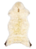 Peau de mouton multicolore britannique d’environ 120 × 55 cm, vue de dessus : exactement la peau que vous recevez