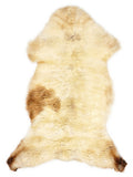 Peau de mouton multicolore britannique d’environ 115 × 60 cm, vue de dessus : exactement la peau que vous recevez