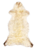 Peau de mouton multicolore britannique d’environ 120 × 50 cm, vue de dessus : exactement la peau que vous recevez