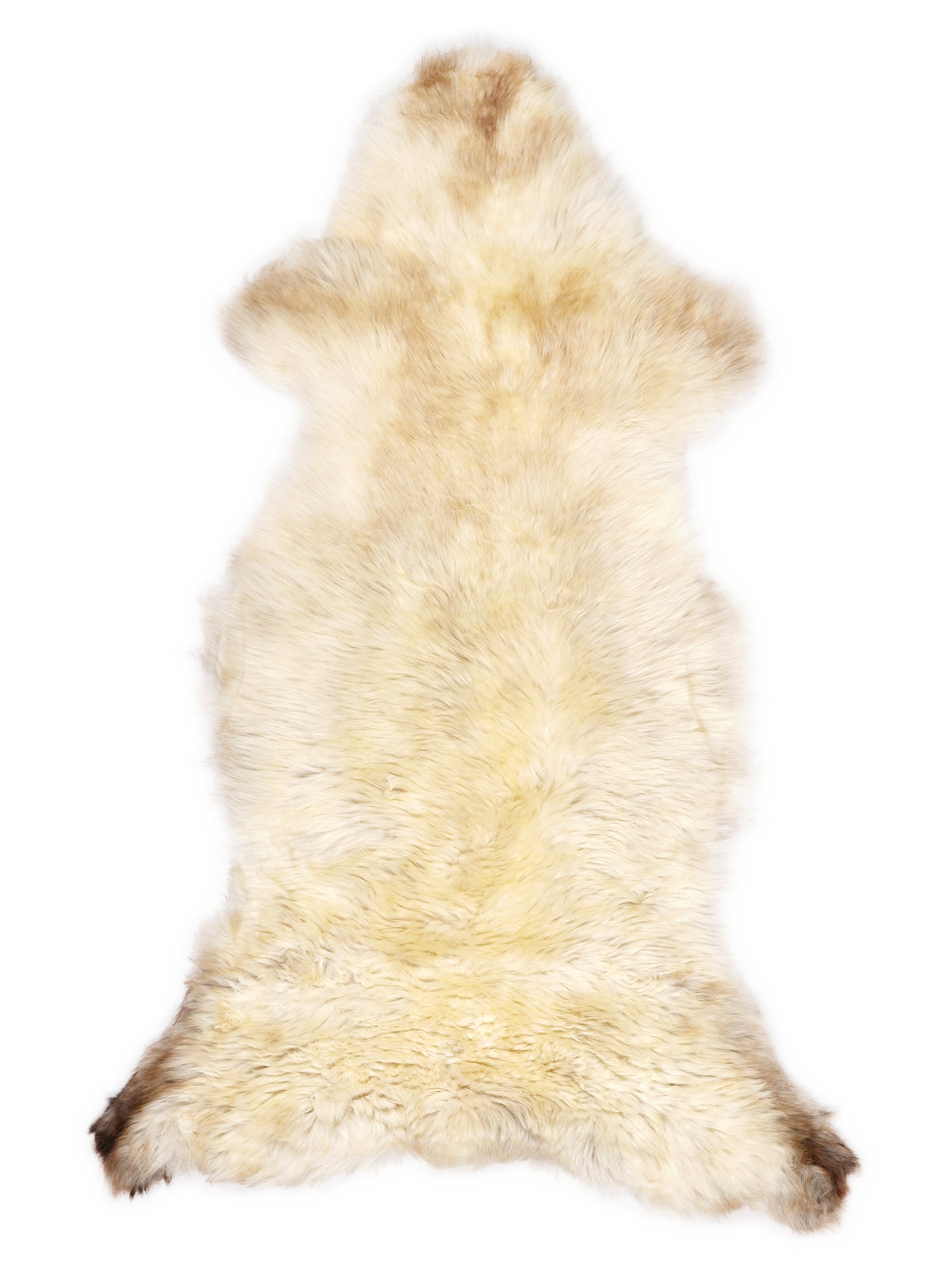 Peau de mouton multicolore britannique d’environ 120 × 50 cm, vue de dessus : exactement la peau que vous recevez