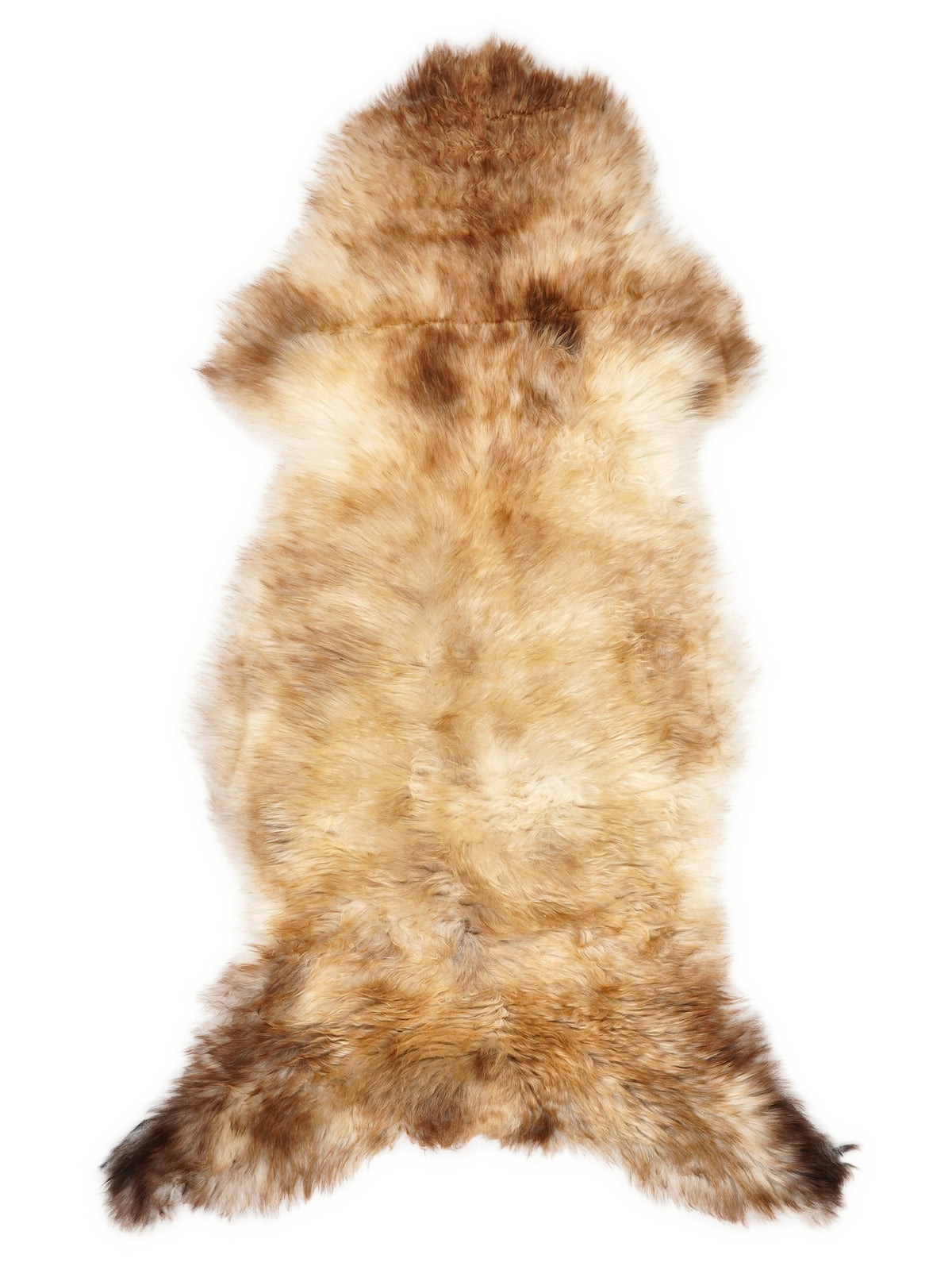 Peau de mouton multicolore britannique d’environ 120 × 55 cm, vue de dessus : exactement la peau que vous recevez