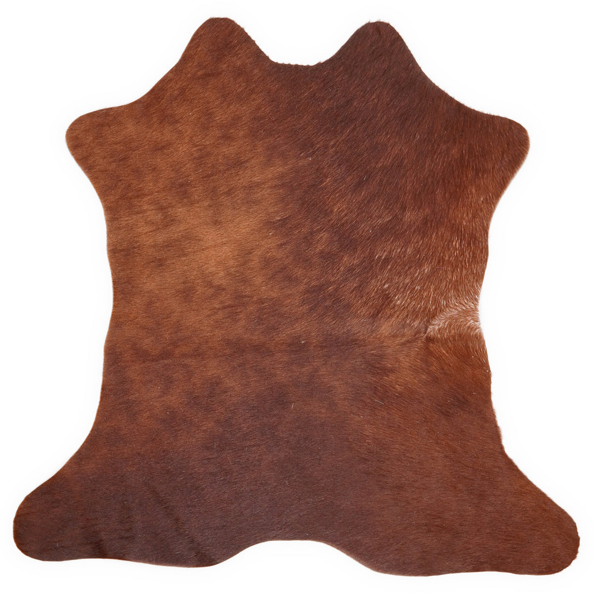 Mini peau de vache d’environ 70 × 70 cm, vue de dessus : exactement la peau que vous recevez
