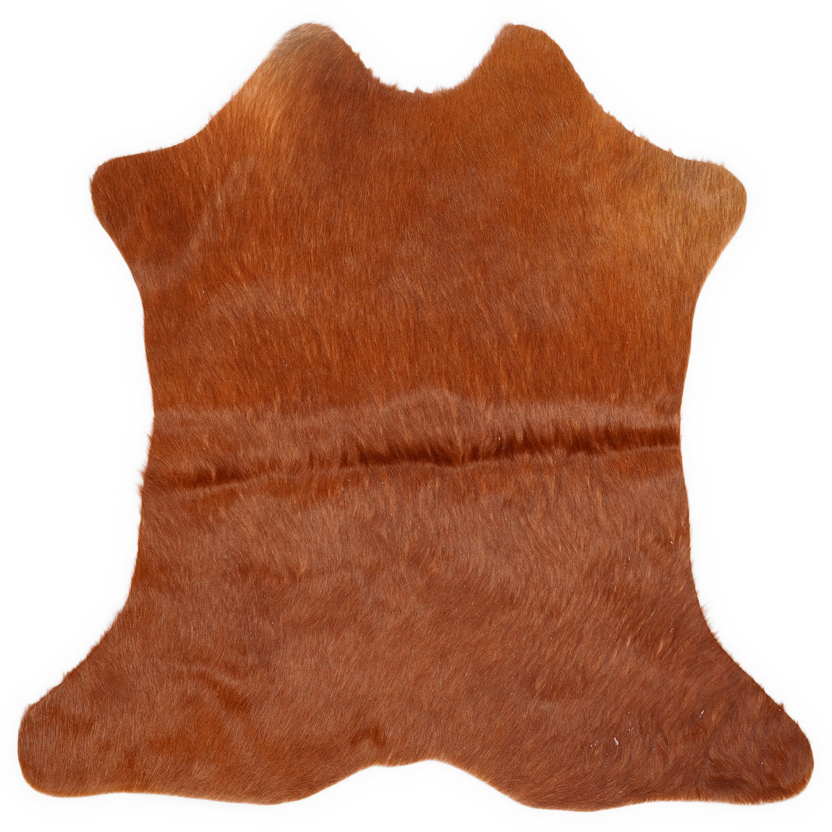 Mini peau de vache d’environ 70 × 70 cm, vue de dessus : exactement la peau que vous recevez