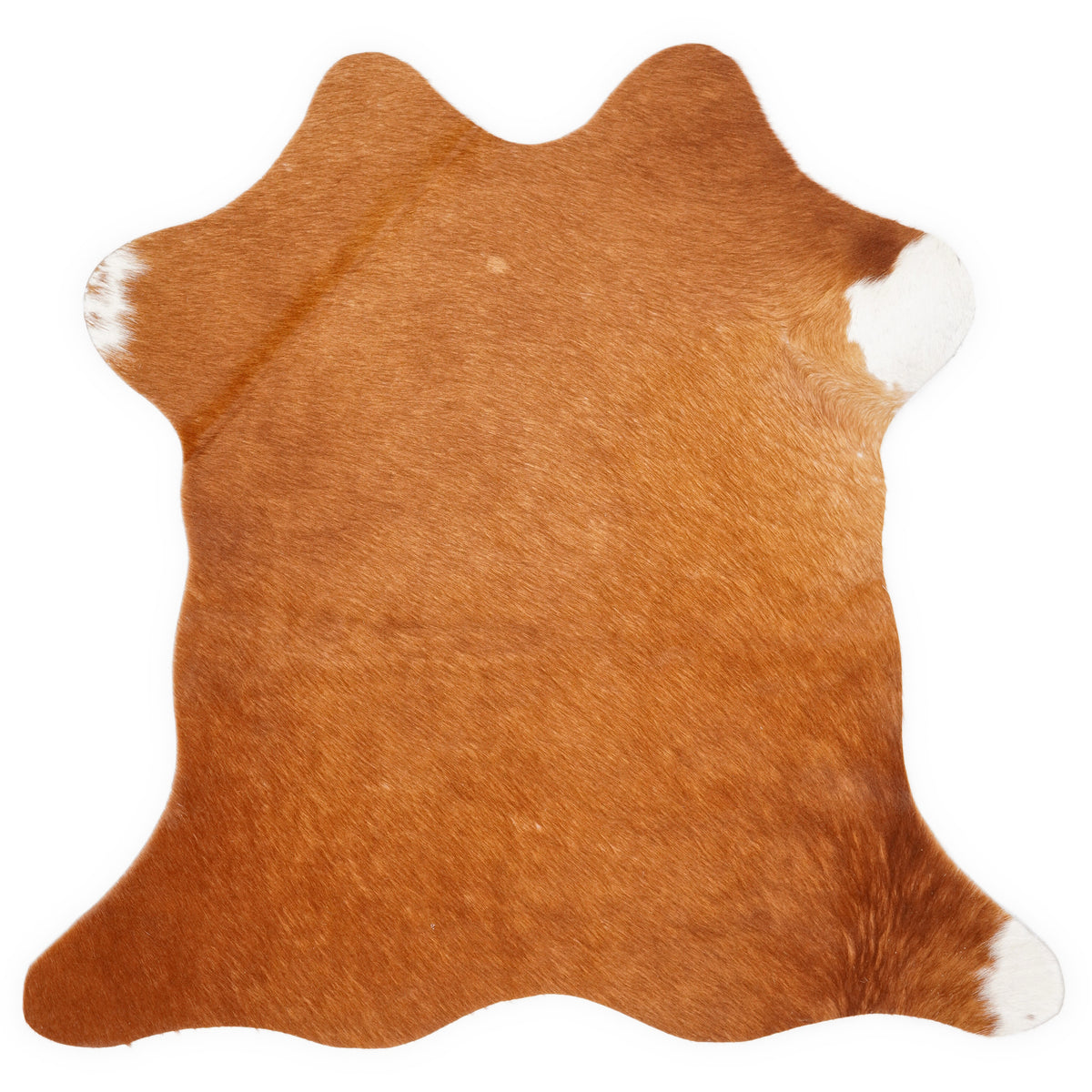 Mini peau de vache d’environ 70 × 70 cm, vue de dessus : exactement la peau que vous recevez