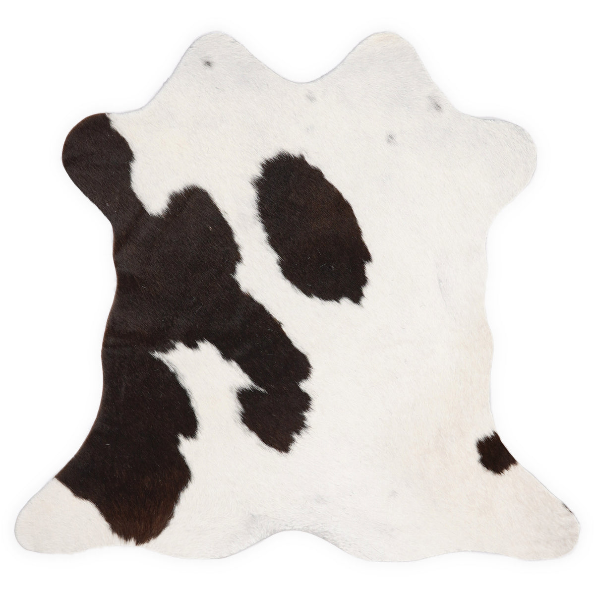 Mini peau de vache d’environ 70 × 70 cm, vue de dessus : exactement la peau que vous recevez