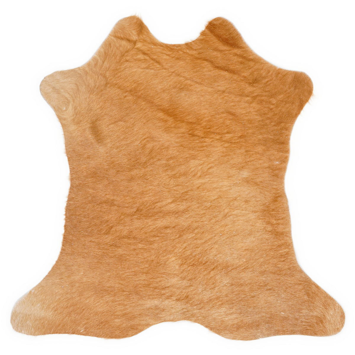 Mini peau de vache d’environ 70 × 70 cm, vue de dessus : exactement la peau que vous recevez