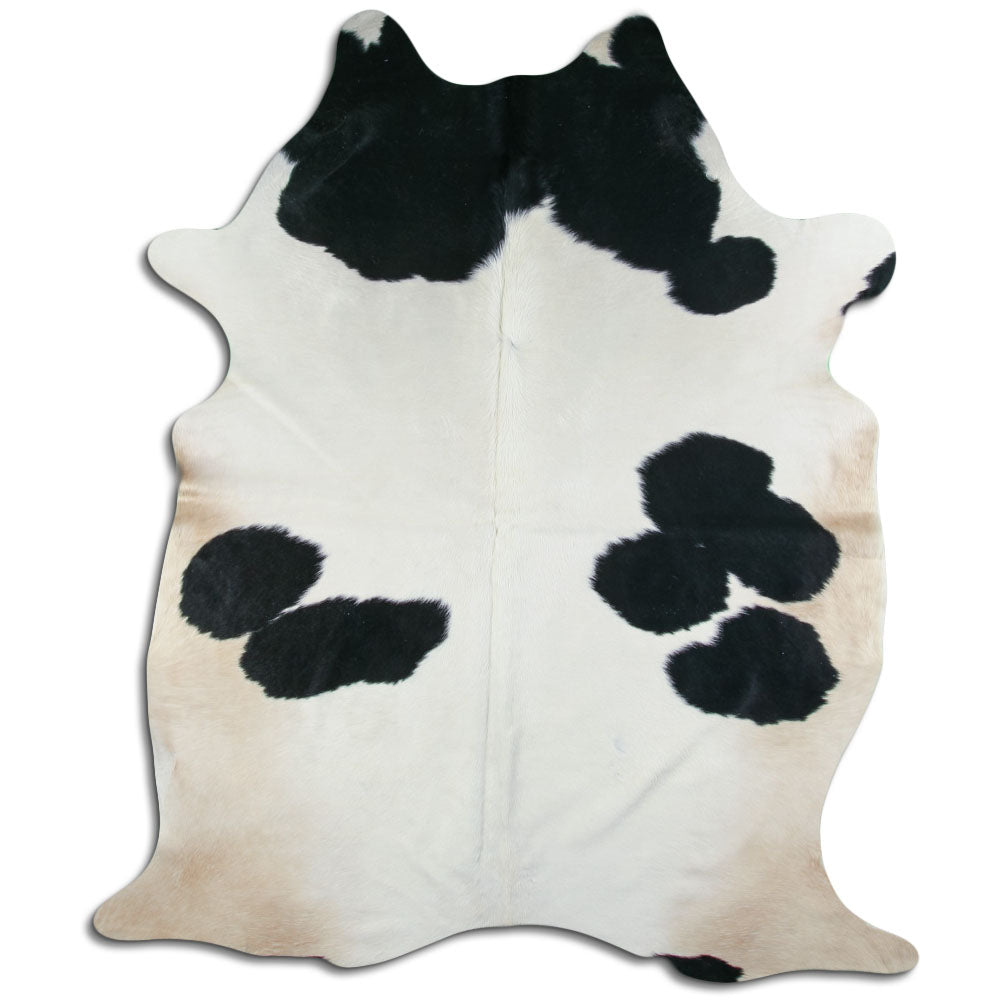 Peau de vache noire et blanche XXL