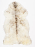 NC00066