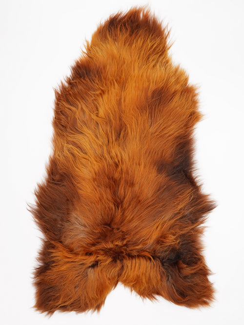 OX00033