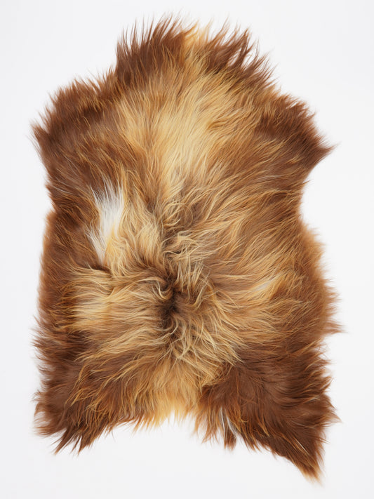 OC00075