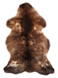 MQ00085