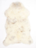 ME00029