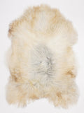 OQ00089