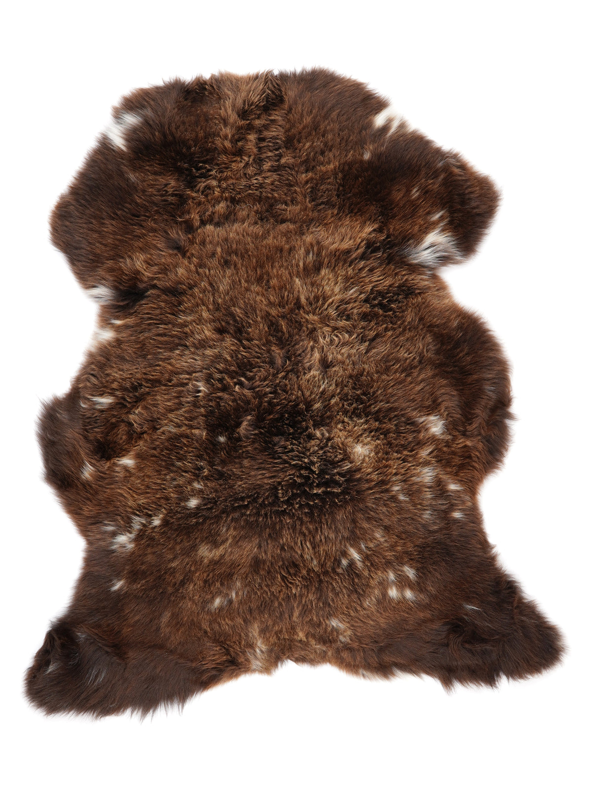 NF00094