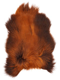 MD00048
