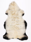 NM00001