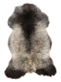 NF00059