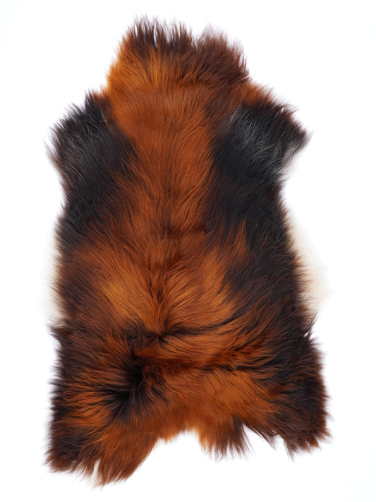 NT00063