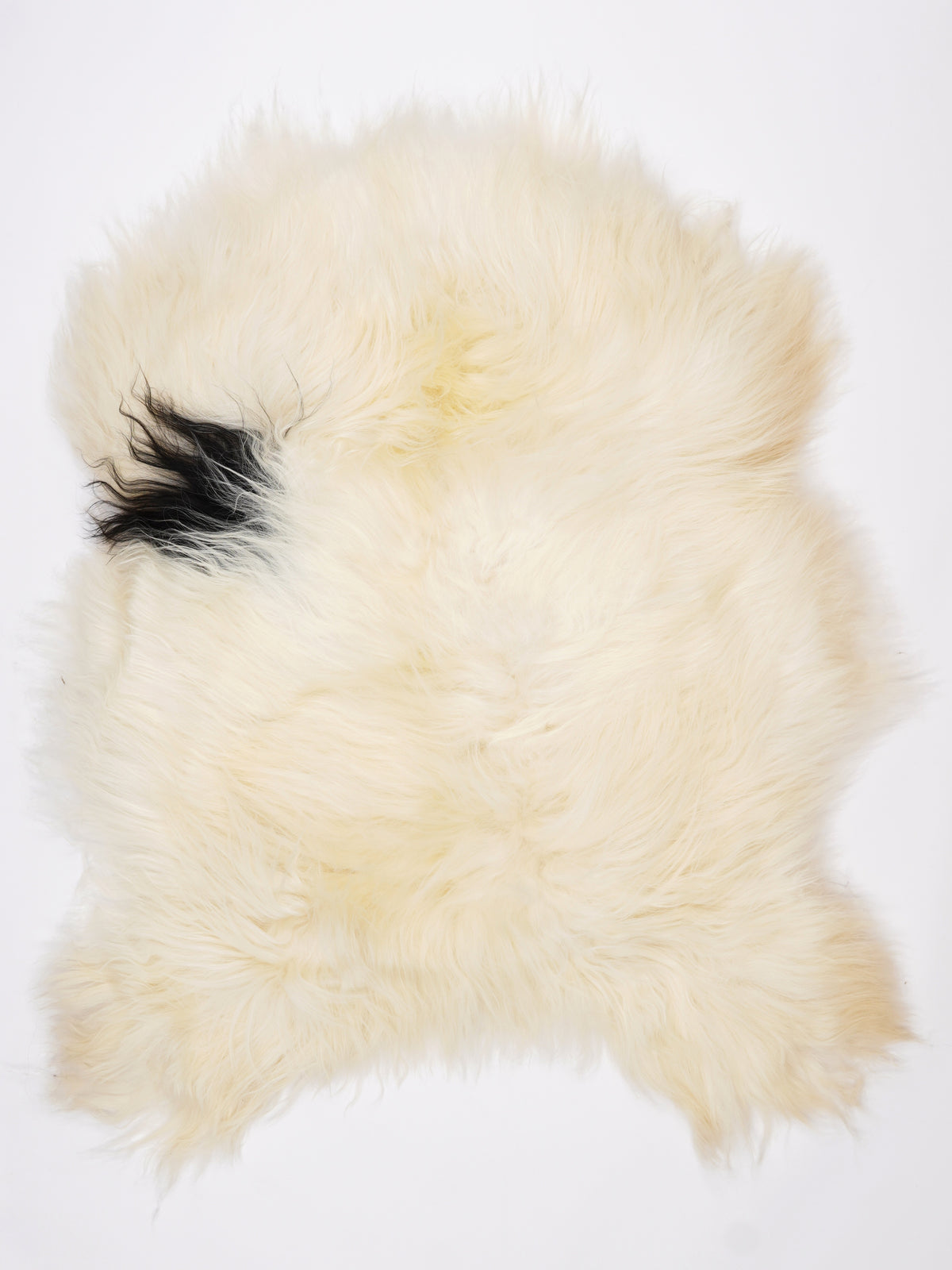 NZ00022