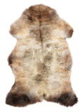 NA00058