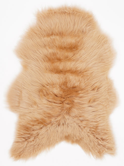 OX00099