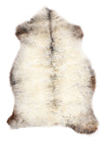 NL00098