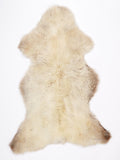 MU00100