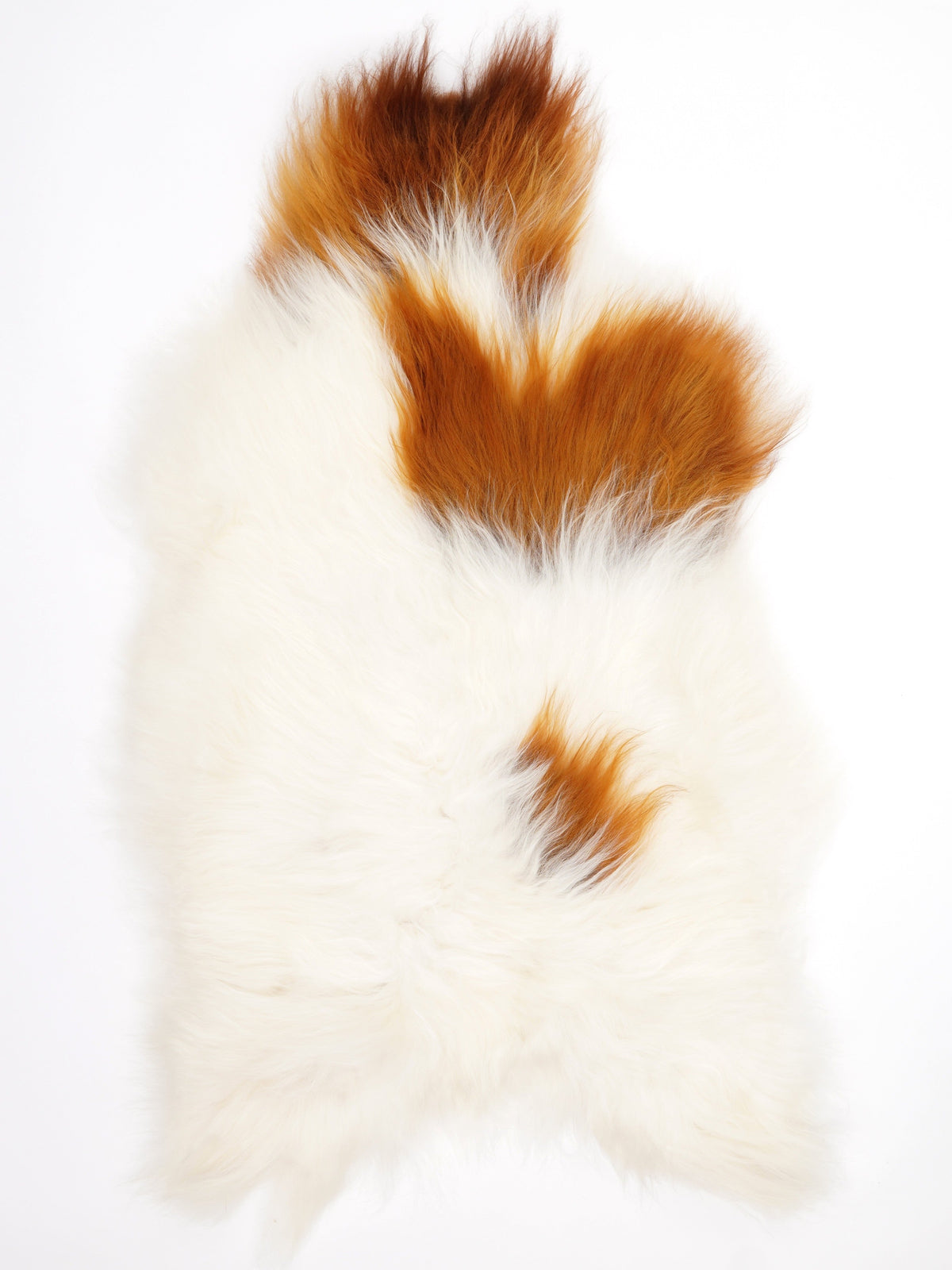 Peau de mouton islandaise XL