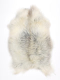 MW00061