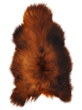 MA00019