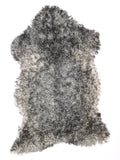 NK00053
