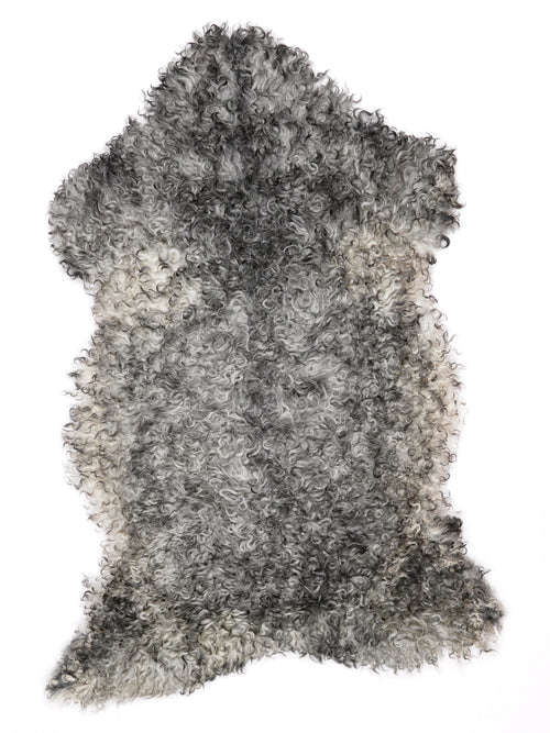 NK00053