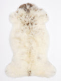 MR00040