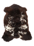 NF00062