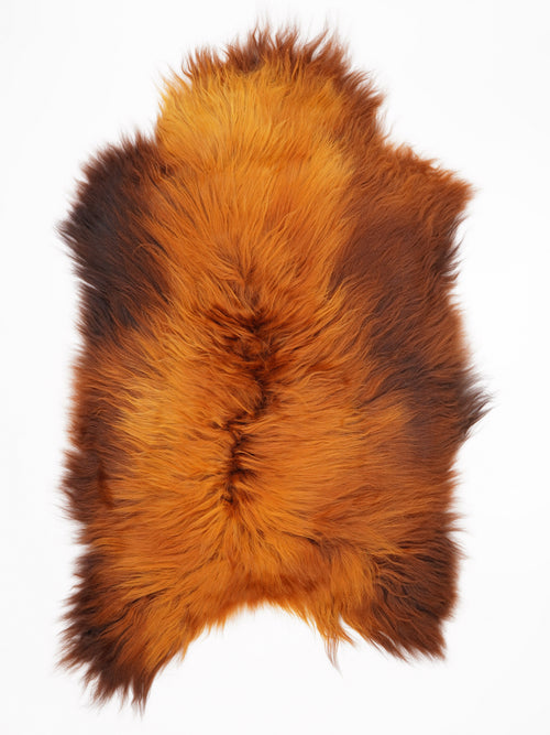 OX00042
