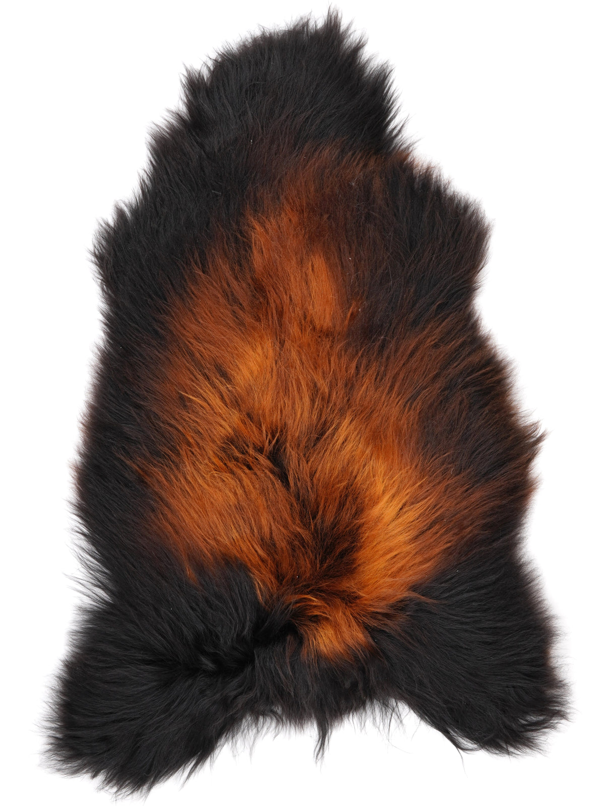 NP00099