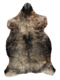 NC00036