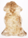 ML00090