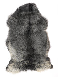 NN00094