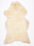 NF00100