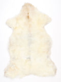 NG00031