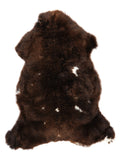 NC00043